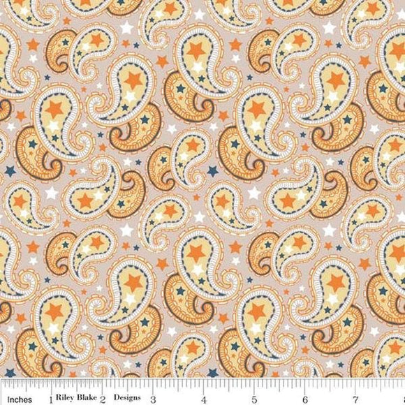 Riley Blake Super Star Paisley