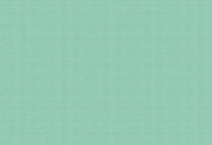 Westfalenstoffe Webstoff uni Mint Provence 0,5m Baumwolle Webware, W4009850